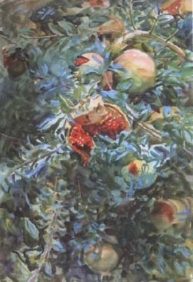 John Singer Sargent Pomegranates (mk18) Norge oil painting art
